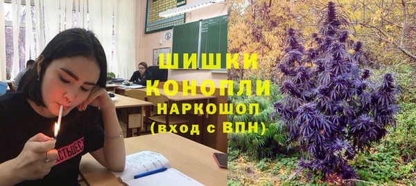 стаф Белоозёрский