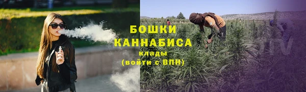 PSILOCYBIN Сосновка