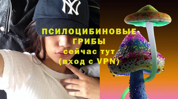 марки nbome Белокуриха