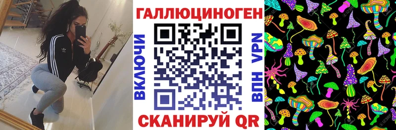 закладки  Вельск  Псилоцибиновые грибы мухоморы 